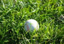 Softball-Facts-on-Successtuff