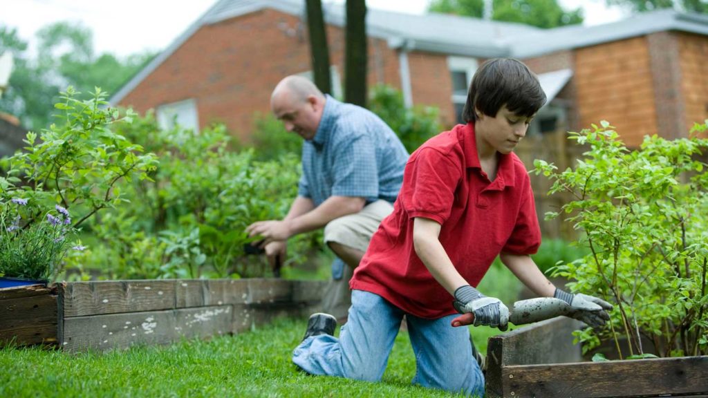 Know-About-Gardening-Thoughts-&-Chores-for-December-on-successtuff